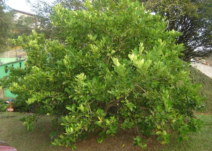 Pousada Xato Miguel Pereira